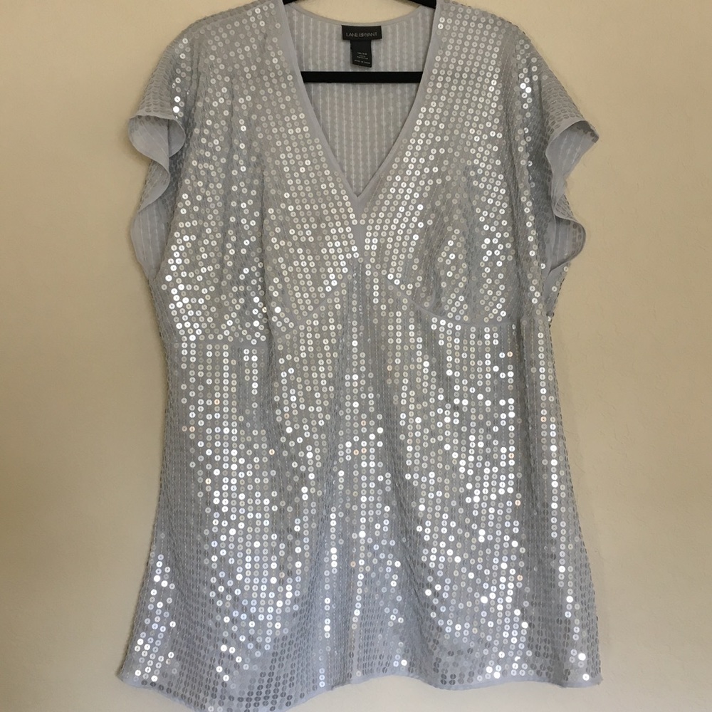 Lane Bryant Silver Sequined Top
